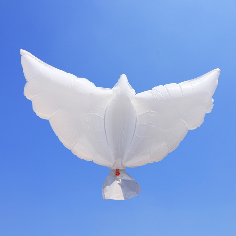 비둘기풍선 웨딩 축제 개막식 행사 헬륨풍선